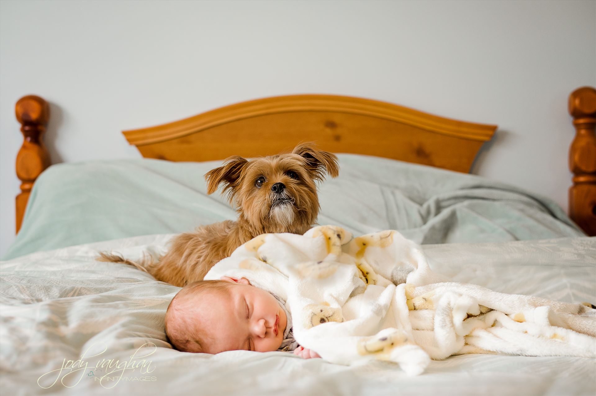 newborn 13 -  by Jody Vaughan Infinity Images