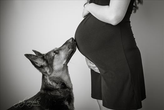 maternity 26 - 